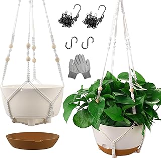 Self-Watering Indoor Hanging Planters