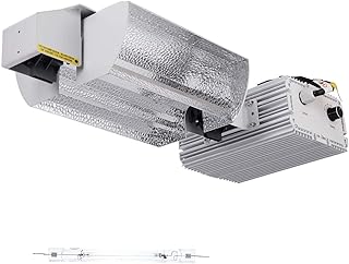 Raylux 1000W Grow Light Kit