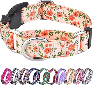 Hikiko Floral Dog Collar for Small Medium Large Dogs, Adjustable Nylon Flower Martingale Collars with Quick Release Buckle (Creamy Natural,S)