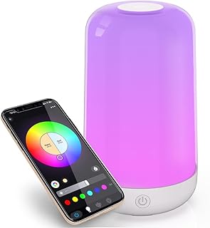Smart RGB Touch Lamp
