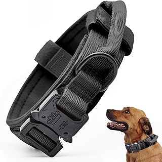 Tactical Military Dog Collar