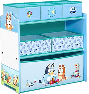 Bluey Design Toy Storage