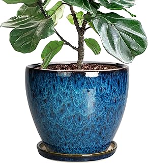 Blue Ceramic Planter Pot 10'