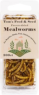 Organic Freeze-Dried Mealworms