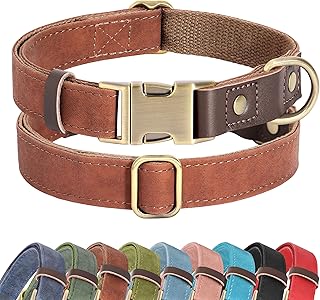 Didog Medium Dog Leather Collar