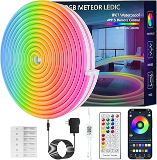 LEDIC Outdoor Neon Strip Lights