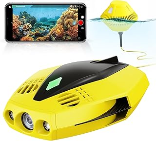 CHASING DORY Mini Underwater Drone