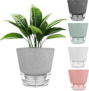 Self-Watering Plant Pot Set