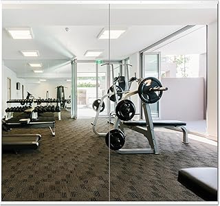 Delma Full Body Gym Mirror