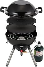Coleman 4-in-1 Propane Grill
