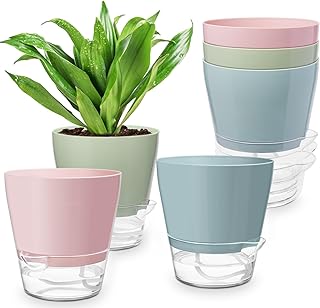 Hayder Self-Watering Plant Pots