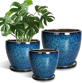 Ceramic Indoor Planters Set