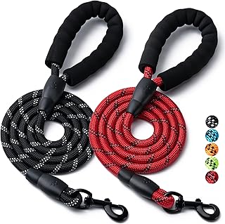 Heavy Duty Reflective Dog Leash