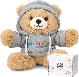 Hugs Teddy Bear with Hoodie