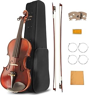 Acoustic Full-Size Beginner Violin Kit