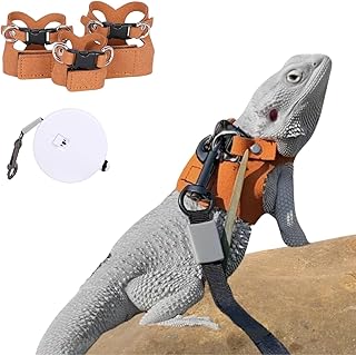 Bearded Dragon Harness Leash Set