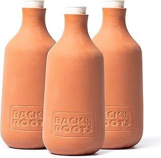 Self-Watering Terracotta Olla Pots