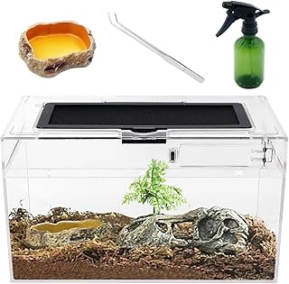 Compact Reptile Terrarium Set
