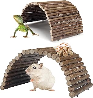 Reptile Hideout Wooden Bridge Set
