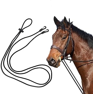 Horse Training Elastic Stretcher