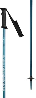 Rossignol Tactic Ski Poles