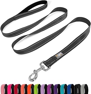 Reflective Nylon Dog Leash