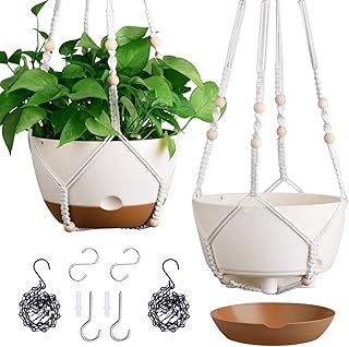 Indoor Self-Watering Hanging Planters