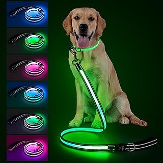 LED Glow Dog Leash