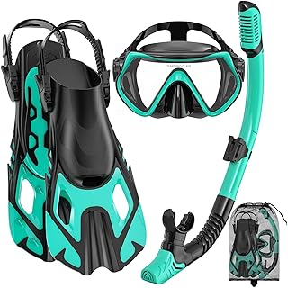 Adult Snorkeling Travel Kit