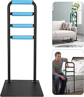 Stand Assist Rail Bar
