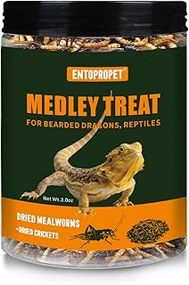 Protein-Rich Dried Mealworms and Crickets