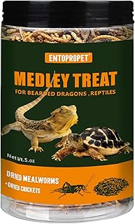 Protein-Rich Reptile Food Medley
