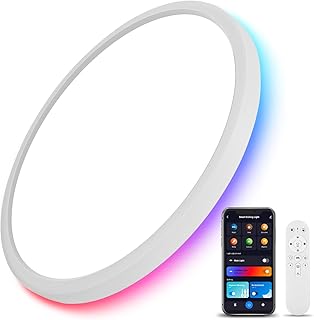 Smart RGB WiFi Ceiling Light