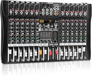 12-Channel Professional Audio Mixer