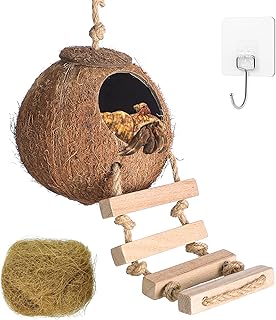 HERCOCCI Gecko Coconut Shell Hut