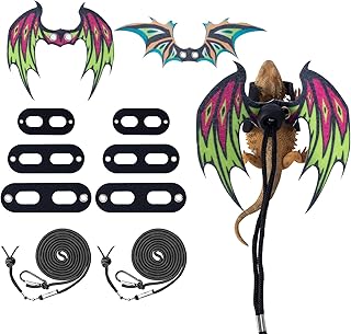 COMSUN Bearded Dragon Harness Set