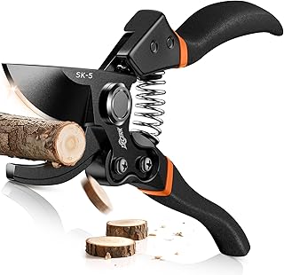 Professional Gardening Pruners