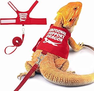 Bearded Dragon Harness Set