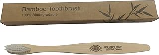 Biodegradable Bamboo Toothbrush
