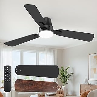 42'' Black Modern Ceiling Fan