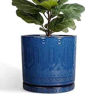 Blue Ceramic 12 Inch Planter