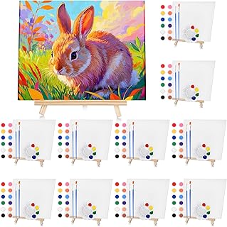 Mini Canvas Painting Kit