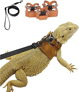 Bearded Dragon Harness Set
