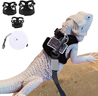 Bearded Dragon Harness & Leash Set