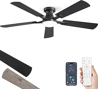ZMISHIBO Smart Ceiling Fan
