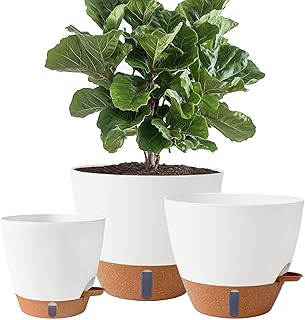 Self-Watering Indoor/Outdoor Planter