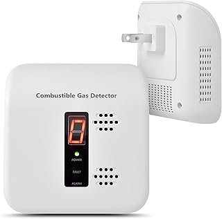 Home & RV Gas Leak Detector