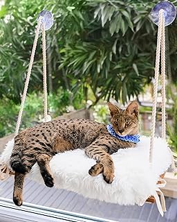 Large Cat Window Hammock