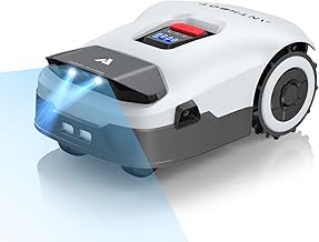 Vision Robotic Lawnmower