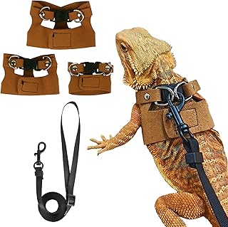 ADOGGYGO Bearded Dragon Leash Set